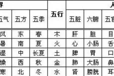 五行格局揭秘：怡五行性格解析，摆脱性格局限的秘诀