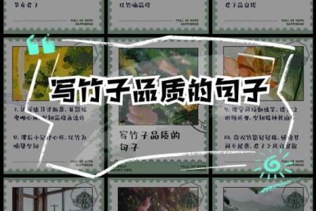 竹影映月五行格：破解性格之谜，如何利用竹子的五行格局提升自己