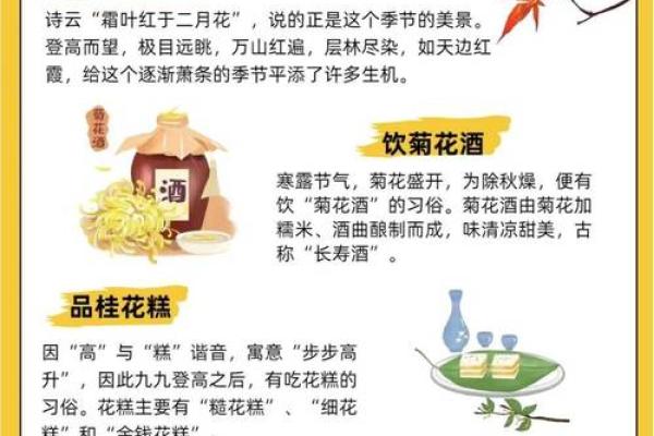 寒露节气中的农耕智慧与养生之道 寒露节气中的农耕智慧与养生之道