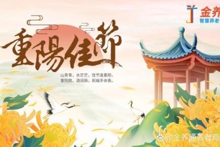 民族节日背后的文化内涵与生活应用