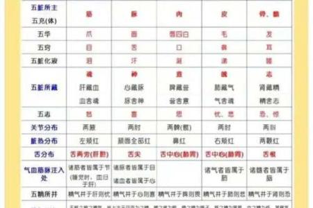 肺在五行中属金，性格解析：颠覆传统，金属性格的真正内涵