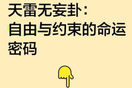 鹿晗命运密码：他背后的八字玄机揭示人生走向