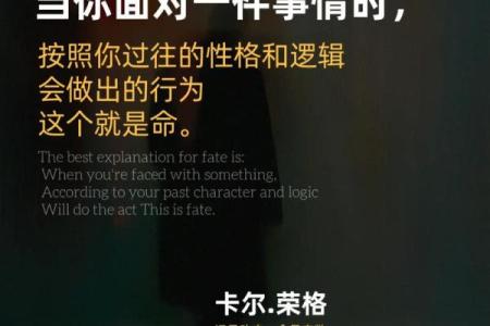 朱鹊桥命理揭秘：命运密码背后暗藏玄机，如何破解人生困局