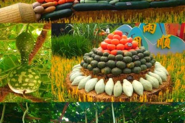 挂葫芦节:天文和农业的和谐结合 挂葫芦节:天文和农业的和谐结合