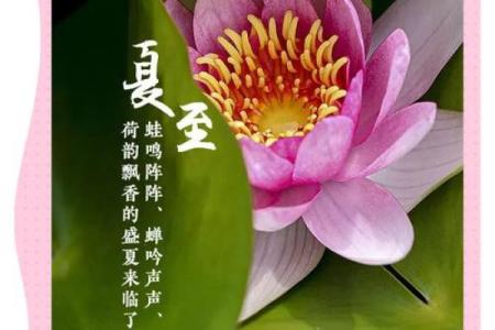 是传统农耕节气的夏至日，农田与天文的完美交融