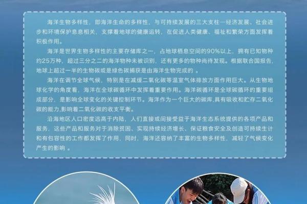 世界海洋日:海洋保护与生态养生的联系 世界海洋日:海洋保护与生态养生的联系