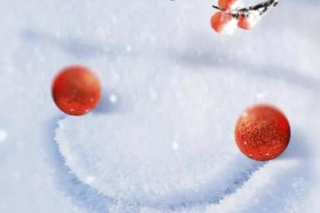 小雪节气：农耕与养生智慧在寒冷季节的结合