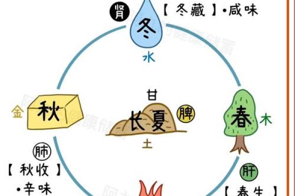 节气的养生之道，如何在春夏之间保持身体平衡