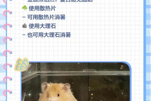 五行格局性格解析:熊类动物如何找到自我提升的黄金点? 五行格局性格解析:熊类动物如何找到自我提升的黄金点?