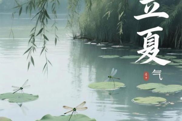 加拿大节日的养生智慧:如何根据节令调整生活方式 加拿大节日的养生智慧:如何根据节令调整生活方式