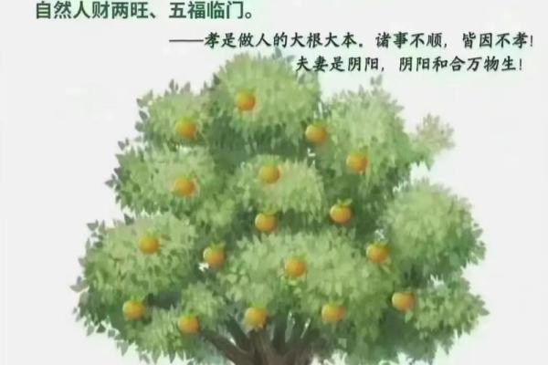 清明节:祭祖与踏青背后的文化意义 清明节:祭祖与踏青背后的文化意义