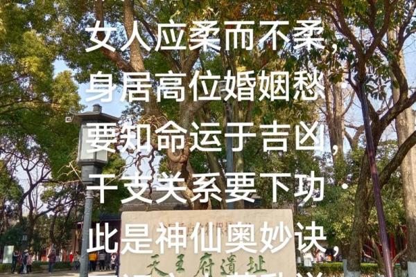 盲派命理：颠覆你对命运的认知，真正的命运密码在哪里？