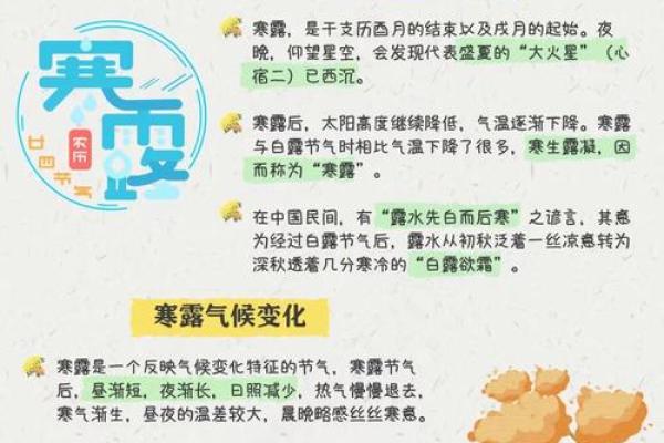 寒露与秋收：节令与农耕的完美结合