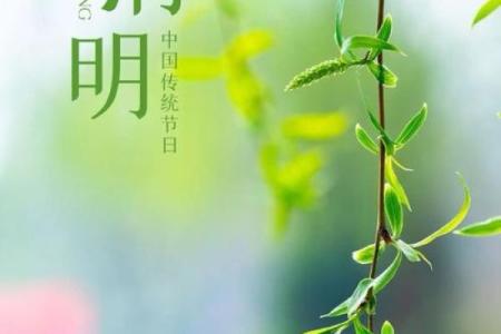 清明节：祭祖与踏青背后的文化意义