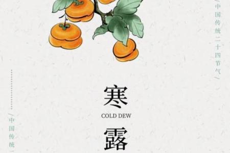 寒露与秋收：节令与农耕的完美结合