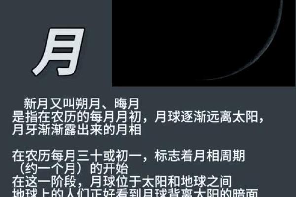 星辰相伴：追寻天文变化中的古老节令