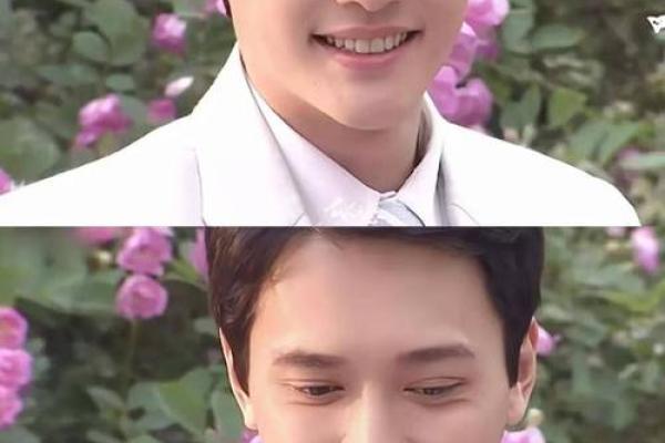 冯绍峰命理颠覆：看似平凡的八字，如何反而成就辉煌