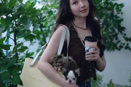 如何通过郭碧婷的八字命理，改变自己的命运走向