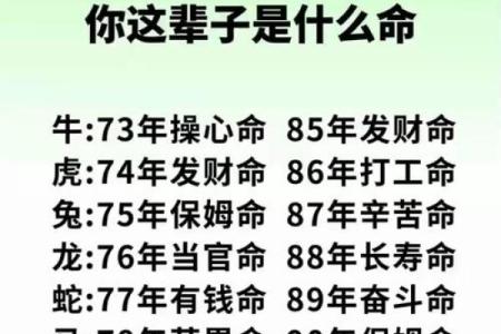 命运密码：金水相生如何揭开你生命中的神秘面纱