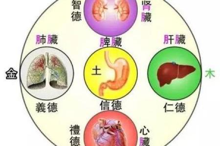 五行性格解析，避开这些误区：让你的人生更上一层楼