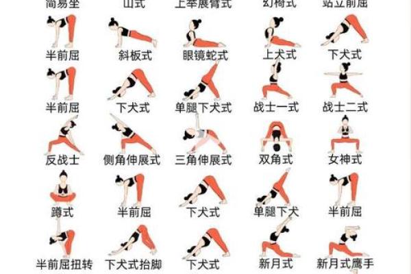 瑜伽五行格局:性格密码大揭秘,你了解自己的五行性格吗? 瑜伽五行格局:性格密码大揭秘,你了解自己的五行性格吗?