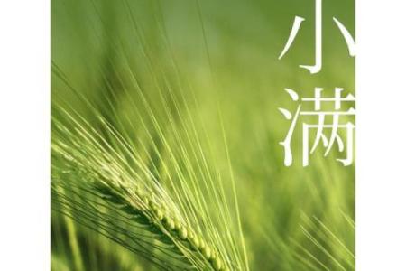 农耕文化中的重要节气——小满的传统意义