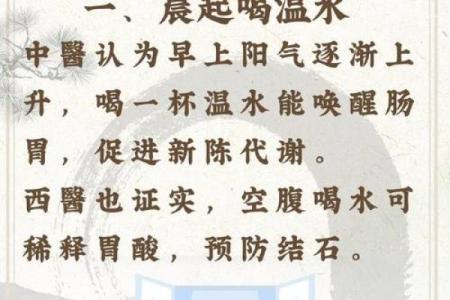 养生与传统节日：从食俗看中国节庆的健康哲学