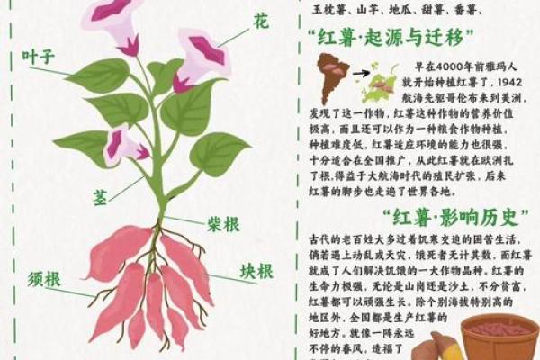 探秘的农耕习俗与意义