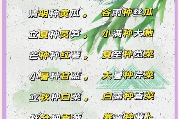 农耕与生肖：如何根据节令安排农事活动