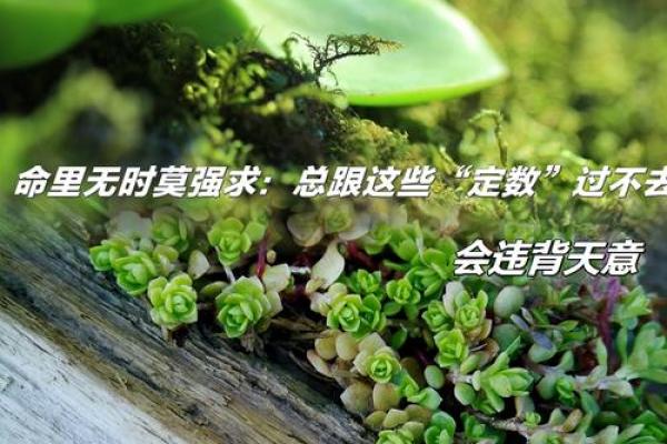 反而改变了命运？从武命的秘密看如何避开人生误区