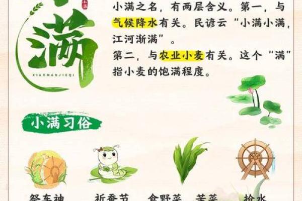 节气解读：从立夏到小满的节令变迁与农事安排