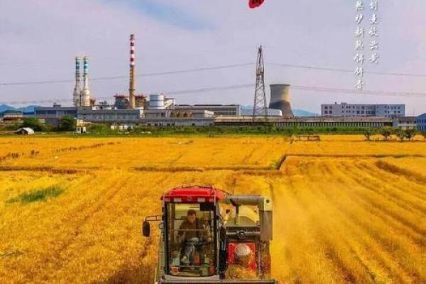 节气解读：从立夏到小满的节令变迁与农事安排