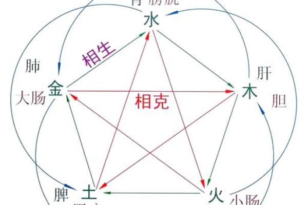 五行格局揭秘：聂五的性格解析，如何发挥五行优势？