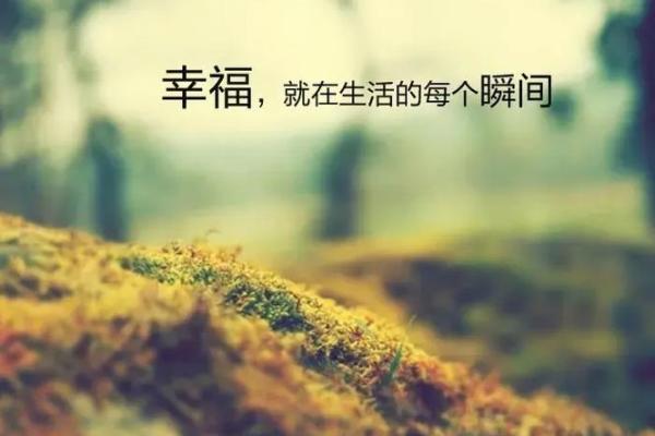 绍字五行误区大揭秘:原来这才是真正的性格格局,如何才能改变? 绍字五行误区大揭秘:原来这才是真正的性格格局,如何才能改变?