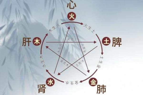 五行养生秘籍：如何根据五行性格调整饮食，实现健康长寿？