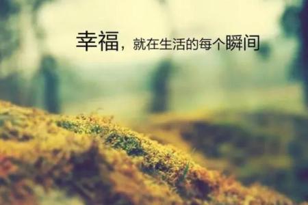 绍字五行误区大揭秘：原来这才是真正的性格格局，如何才能改变？