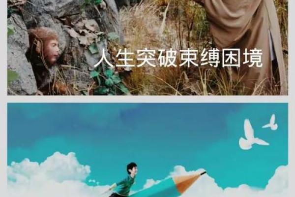 性格解析：五行视角下的教育从业者如何突破自我？