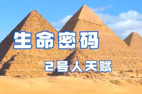 小诺命理:如何通过破解命运密码改变未来的轨迹 小诺命理:如何通过破解命运密码改变未来的轨迹