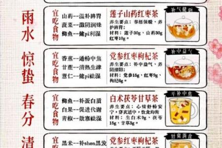 与养生：如何通过饮食调整迎接节气变化