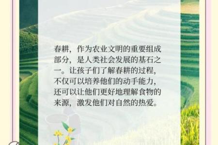 农耕节气中的传统仪式与现代应用