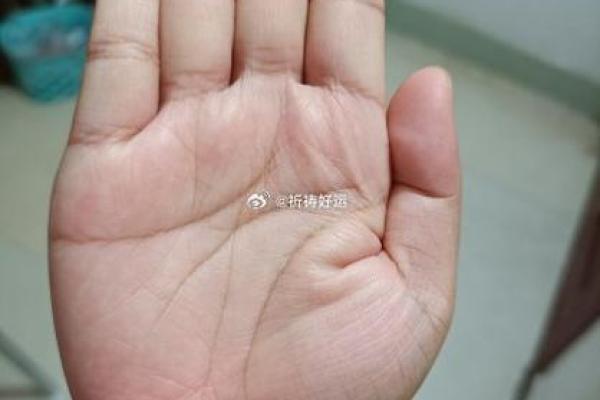 命运密码大揭秘:宋小宝如何通过命理改变人生 命运密码大揭秘:宋小宝如何通过命理改变人生
