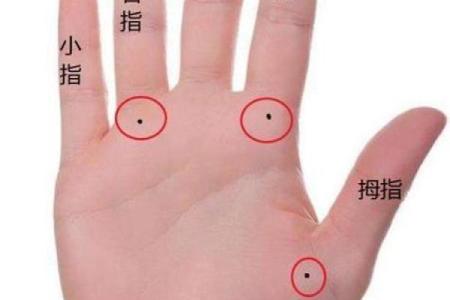 林心如八字命理解析：命运密码中隐藏的成功秘诀