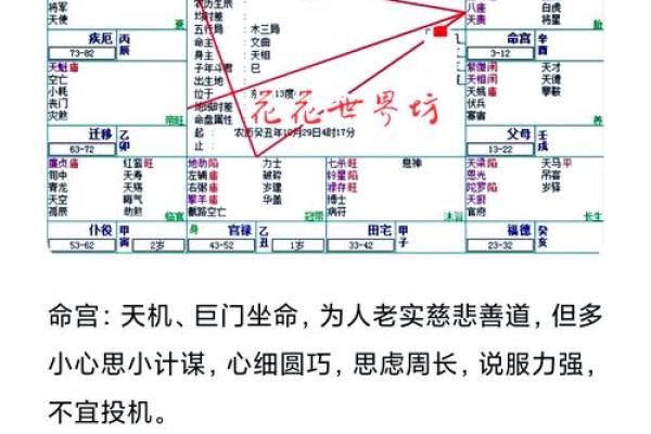 祝五行格局探秘：性格解析中的实用技巧，你掌握了吗？