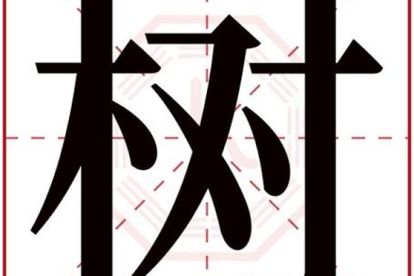 楚字五行格局,你的性格是如何被误解的?揭秘实用性格重塑之道 楚字五行格局,你的性格是如何被误解的?揭秘实用性格重塑之道