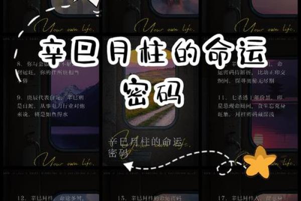 郑爽八字命理揭示命运密码，你能改变未来吗