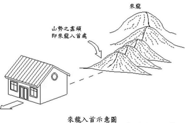 性格解析新视角:五行格局教你洞悉自身潜质 性格解析新视角:五行格局教你洞悉自身潜质
