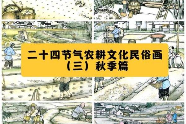 为何这个日期在农耕文化中如此特殊