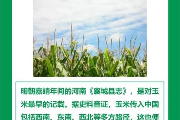 五行格局误区大揭秘：麒的真实性格你了解多少？