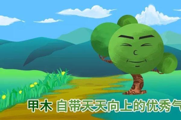五行格局大揭秘：易之性格解析，反而让你找到更好的自己