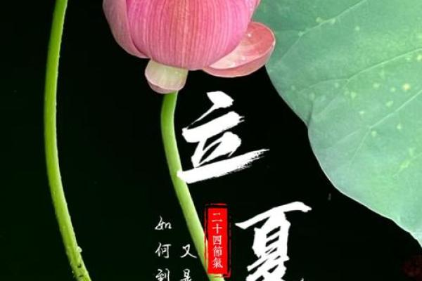 今天是立夏节气,感受春去夏来,养生要注意什么 今天是立夏节气,感受春去夏来,养生要注意什么